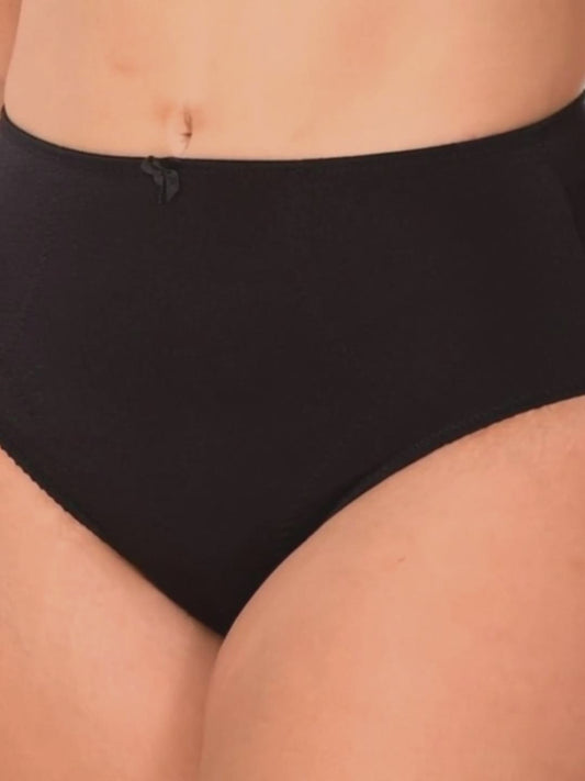 Panty control soporte firme (tipo faja) Ref. 160